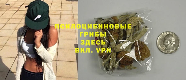 винт Куйбышев