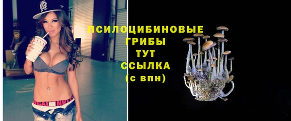 твердый Кукмор