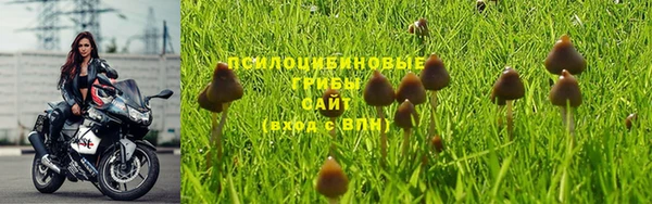 винт Куйбышев