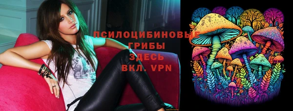 твердый Кукмор